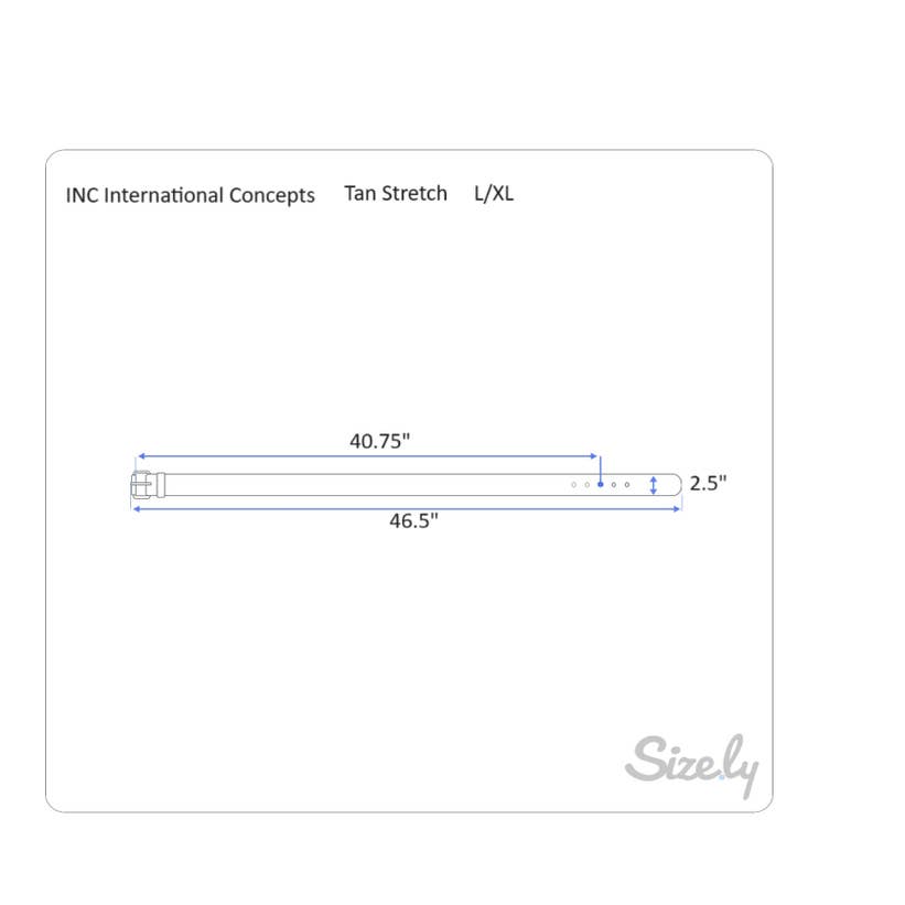 INC International Concepts Wide Ivory Stretch Belt w/ Silver Hardware