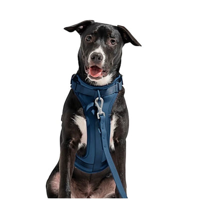 Wild One Classic Blue Dog Harness