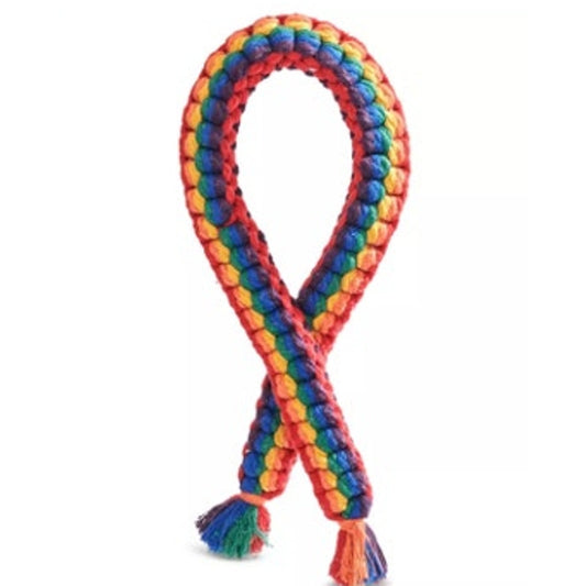 Jax & Bones Rainbow Rope Dog Chew Toy