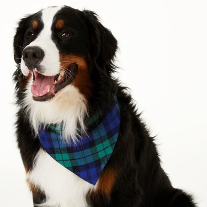 Family PJs Blue & Green Black Watch Plaid Dog Bandana