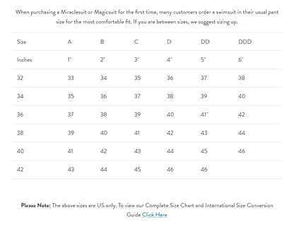 Miraclesuit Solid Plunge Bra Underwire Swim Top In Black