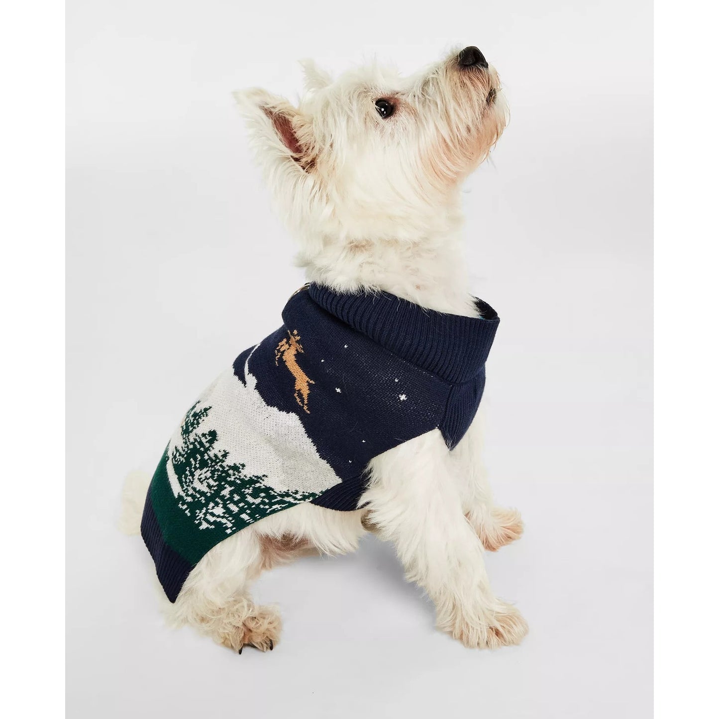 Charter Club Holiday Lane Snowy Landscape Pet Sweater In Intrepid Blue