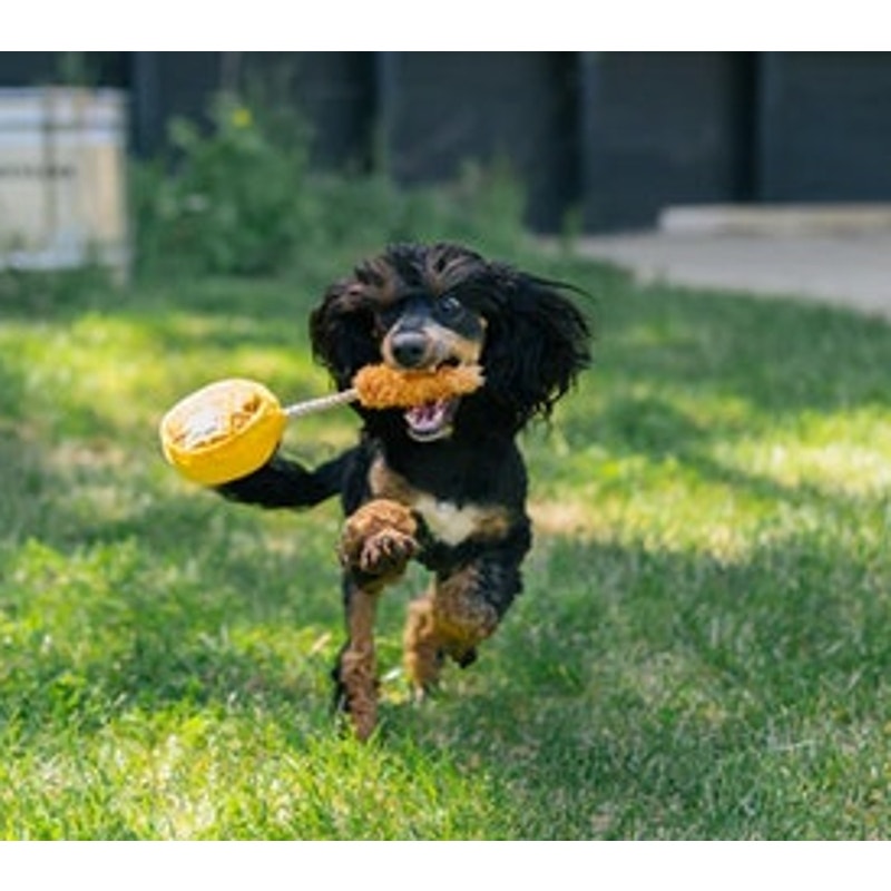 P.L.A.Y. Barking Brunch Chicken & Waffles Dog Chew Toy