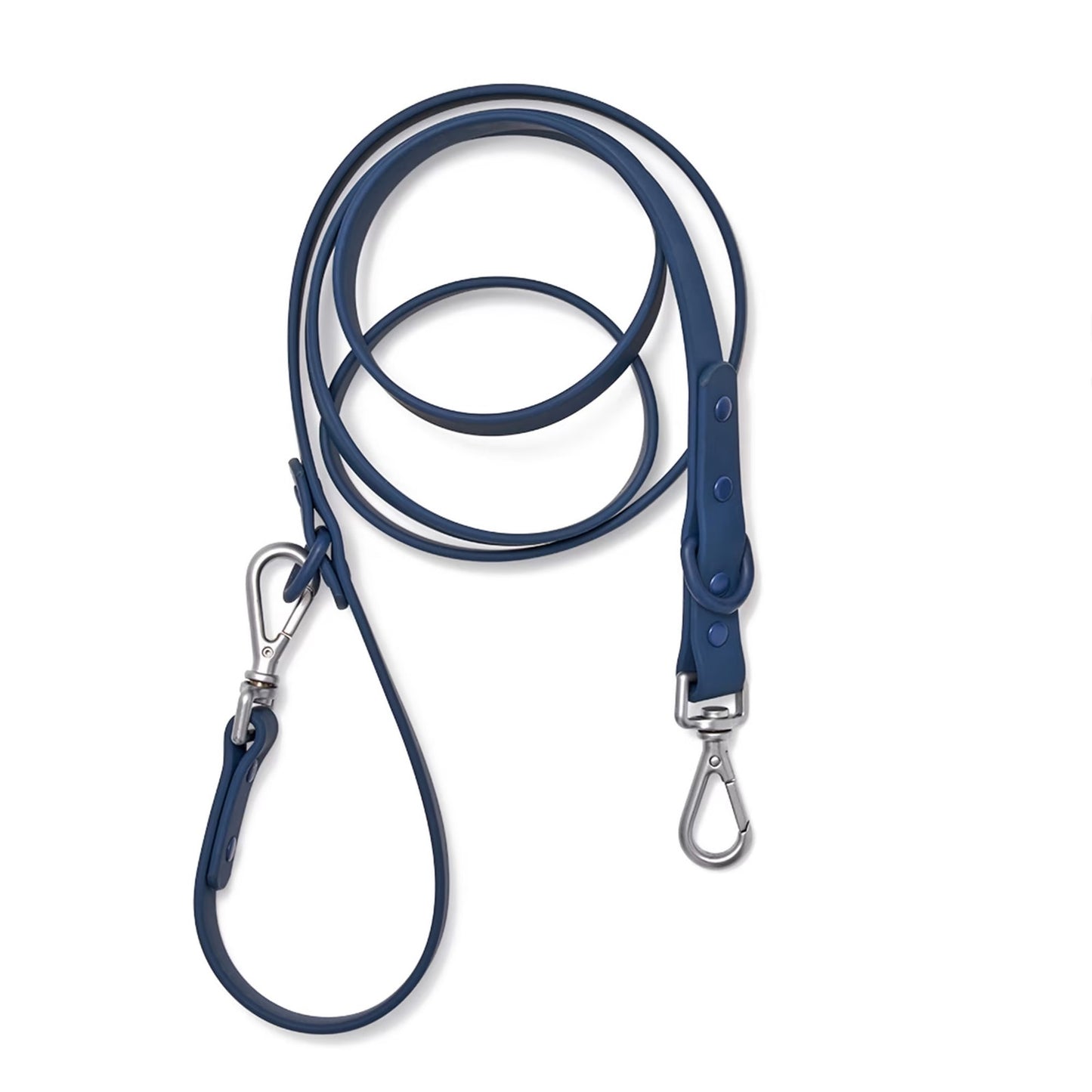 Wild One Blue Dog Leash Standard